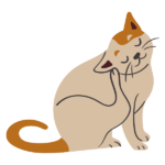 scratching cat